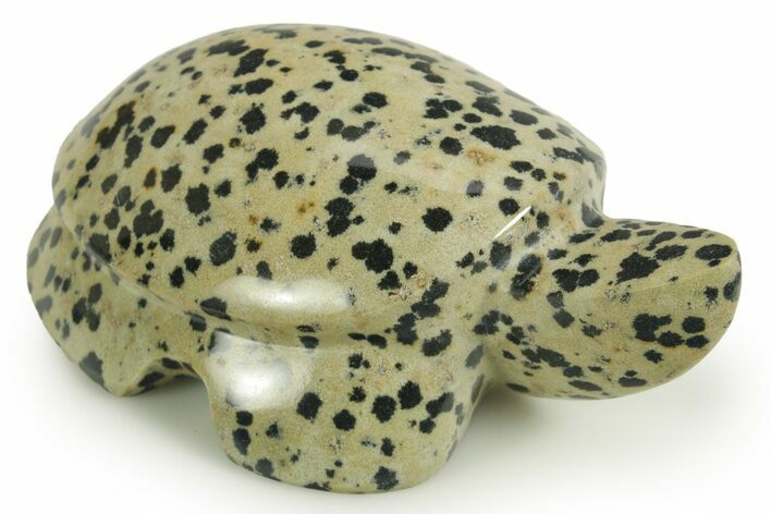 Carved Dalmatian Stone Turtle - Mexico #366270